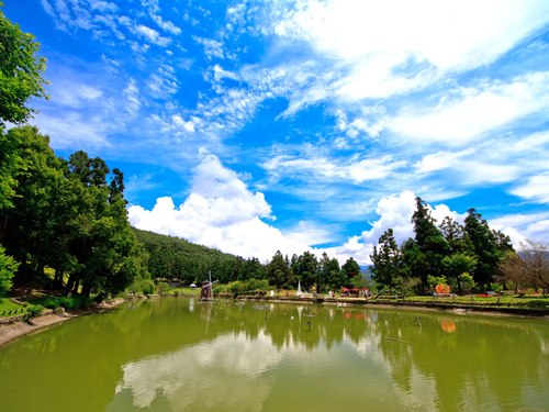 Alishan sunmoonlake qingjing oneday