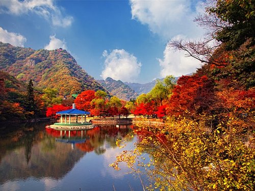 (首爾出發) 內藏山包車一日遊