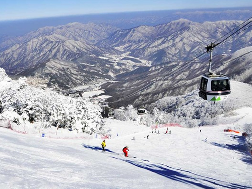 (首爾出發) 江原道滑雪包車一日遊