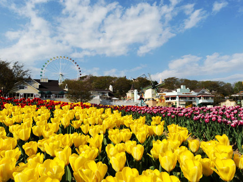 首爾→愛寶樂園包車一日遊